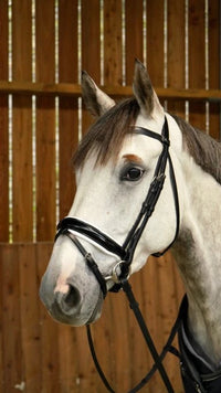 Working Patent Large Crank Noseband Bridle with White Padding and Flash - Black Full