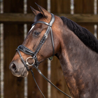 Working Patent Large Crank Noseband Bridle with Flash - Black Full