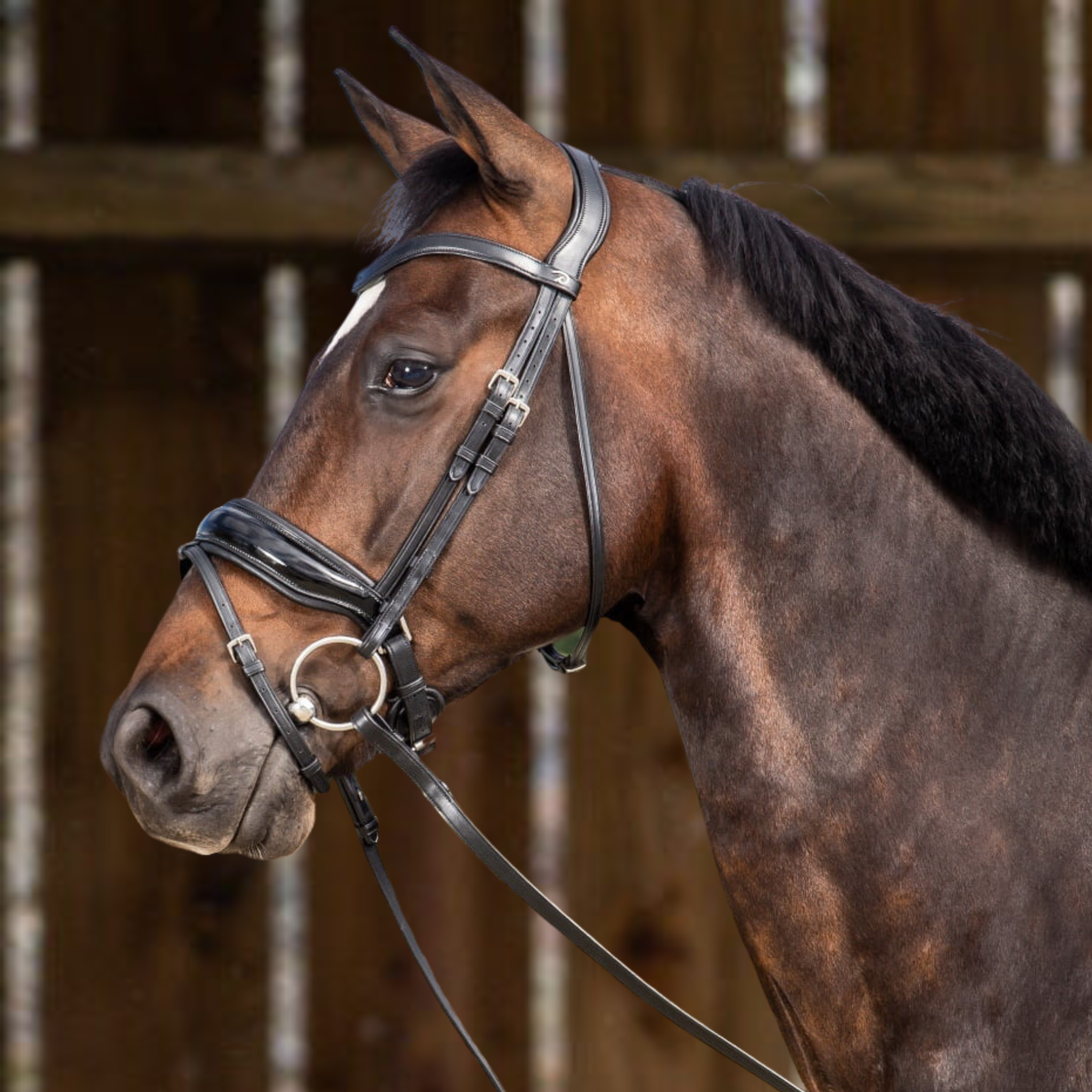 Working Patent Large Crank Noseband Bridle with Flash - Black Full