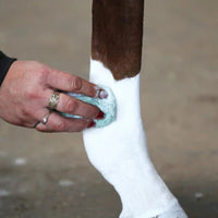 Xtreeme Sox Powder - 500gm