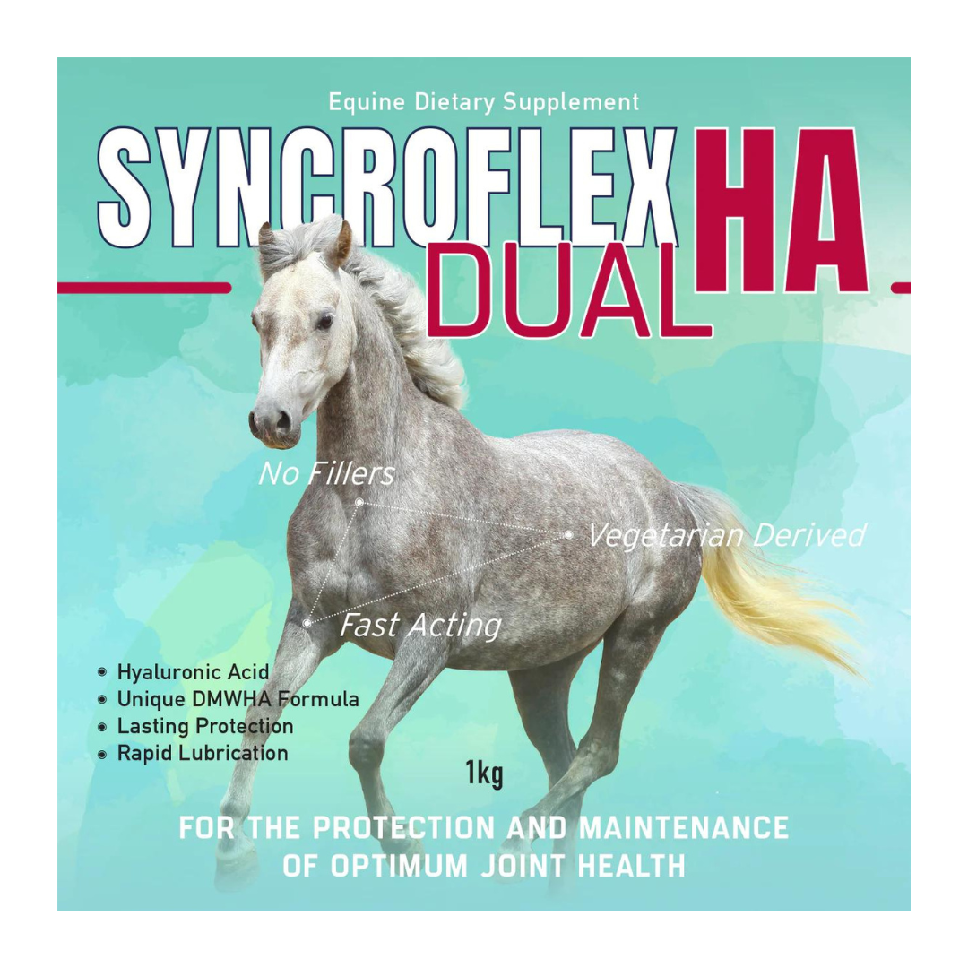 Syncroflex Dual HA Rangiora Equestrian Supplies