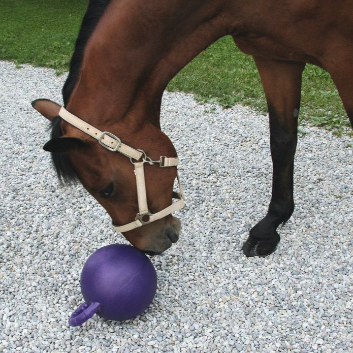 Kerbl Horse Play Ball – Rangiora Equestrian Supplies