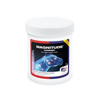 Magnitude Magnesium Powder 1kg