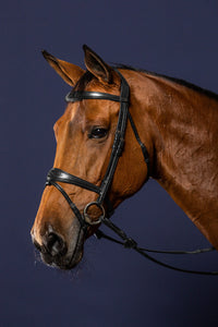 New English Anatomic Flash Noseband Bridle - Black