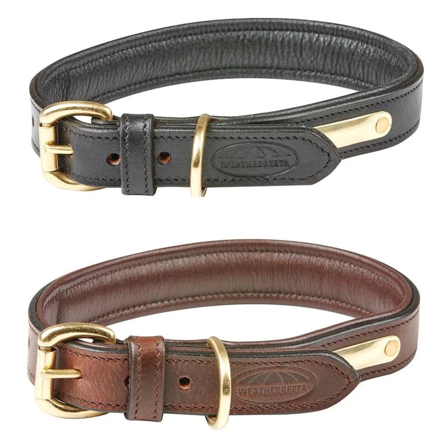 Padded Leather Dog Collar - Brown