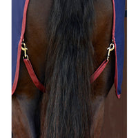 Show Sheet Standard Neck - Navy/Burgundy