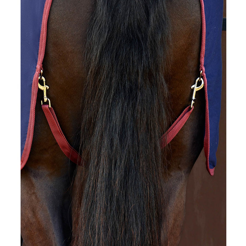 Show Sheet Standard Neck - Navy/Burgundy