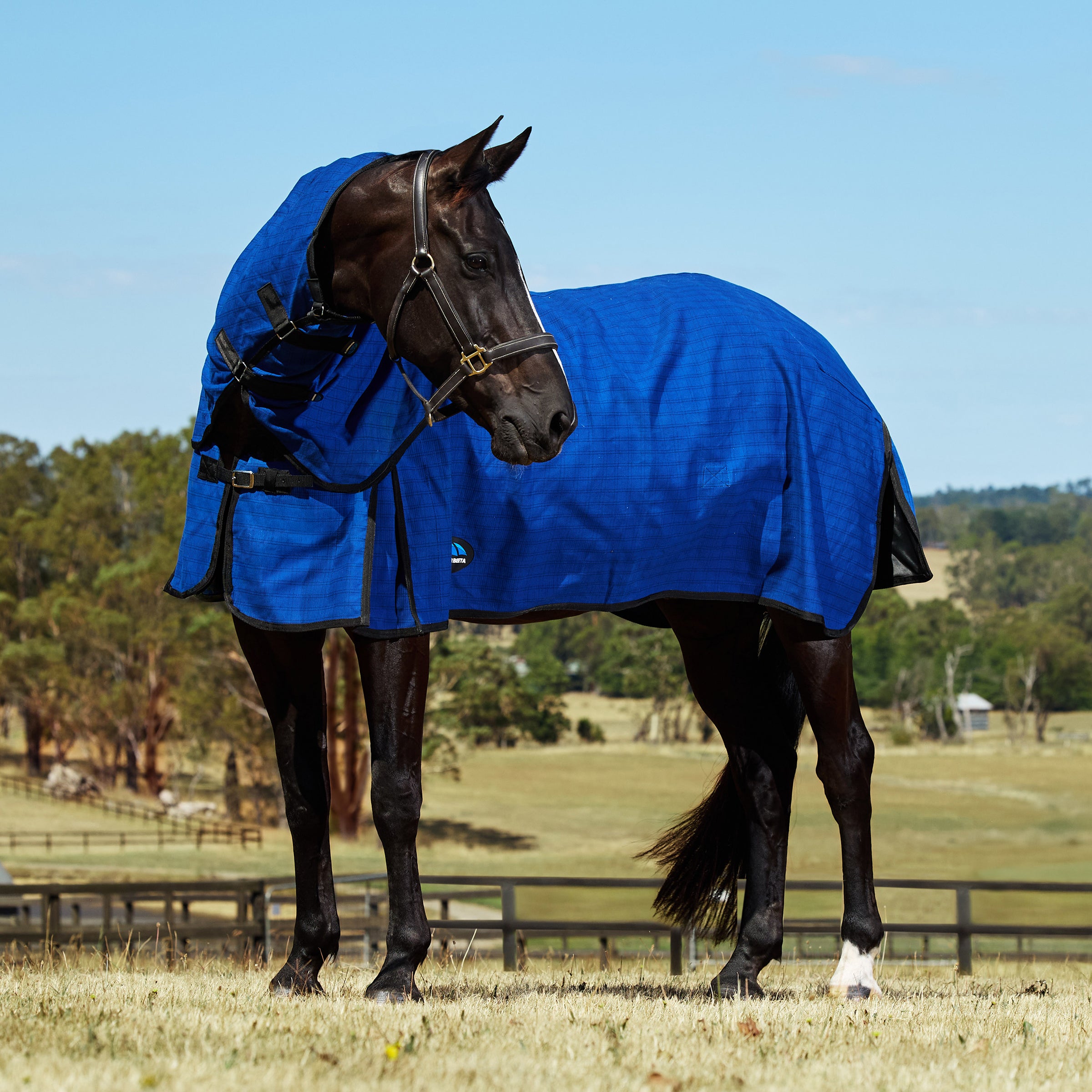 Unlined Canvas Combo - Blue/Black