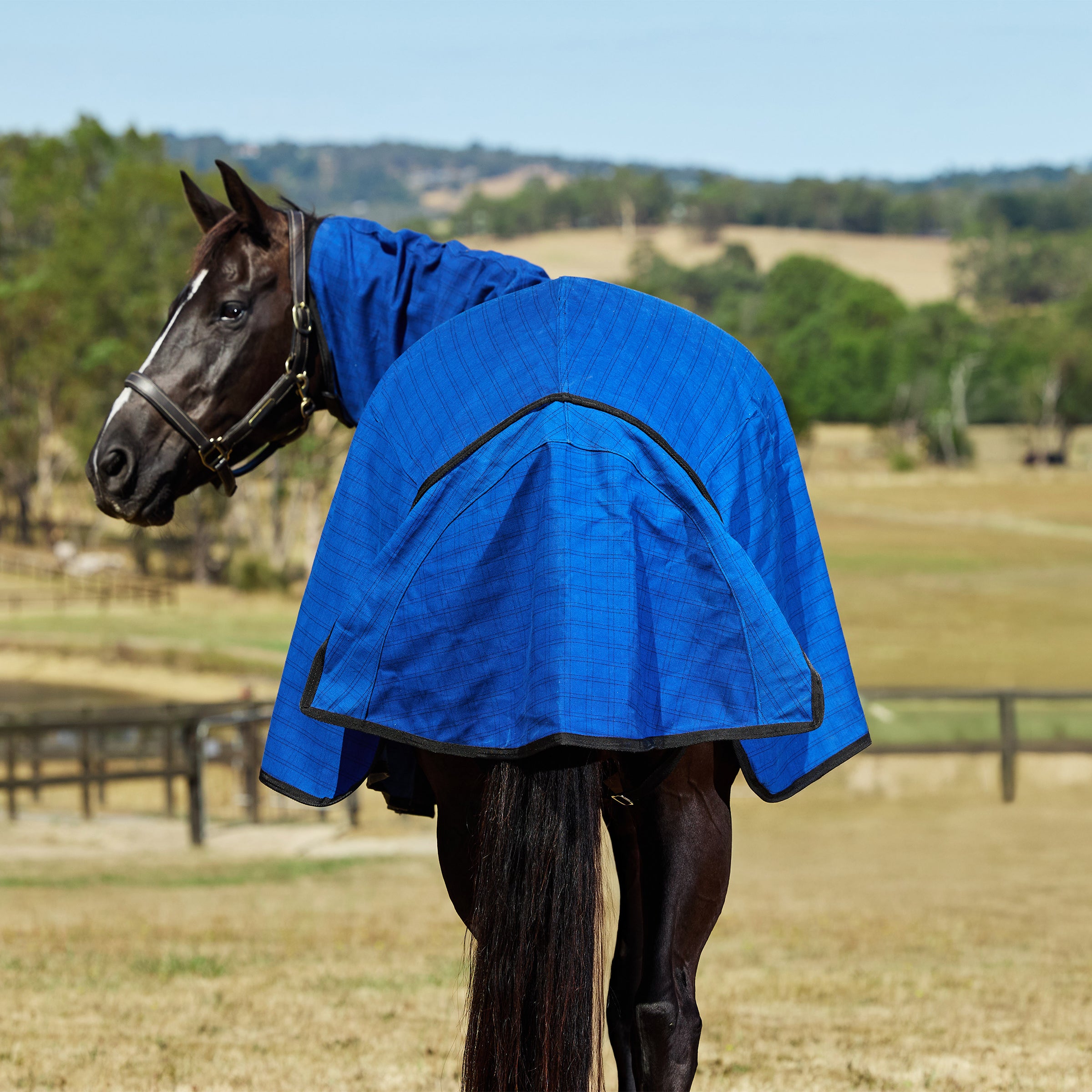 Unlined Canvas Combo - Blue/Black