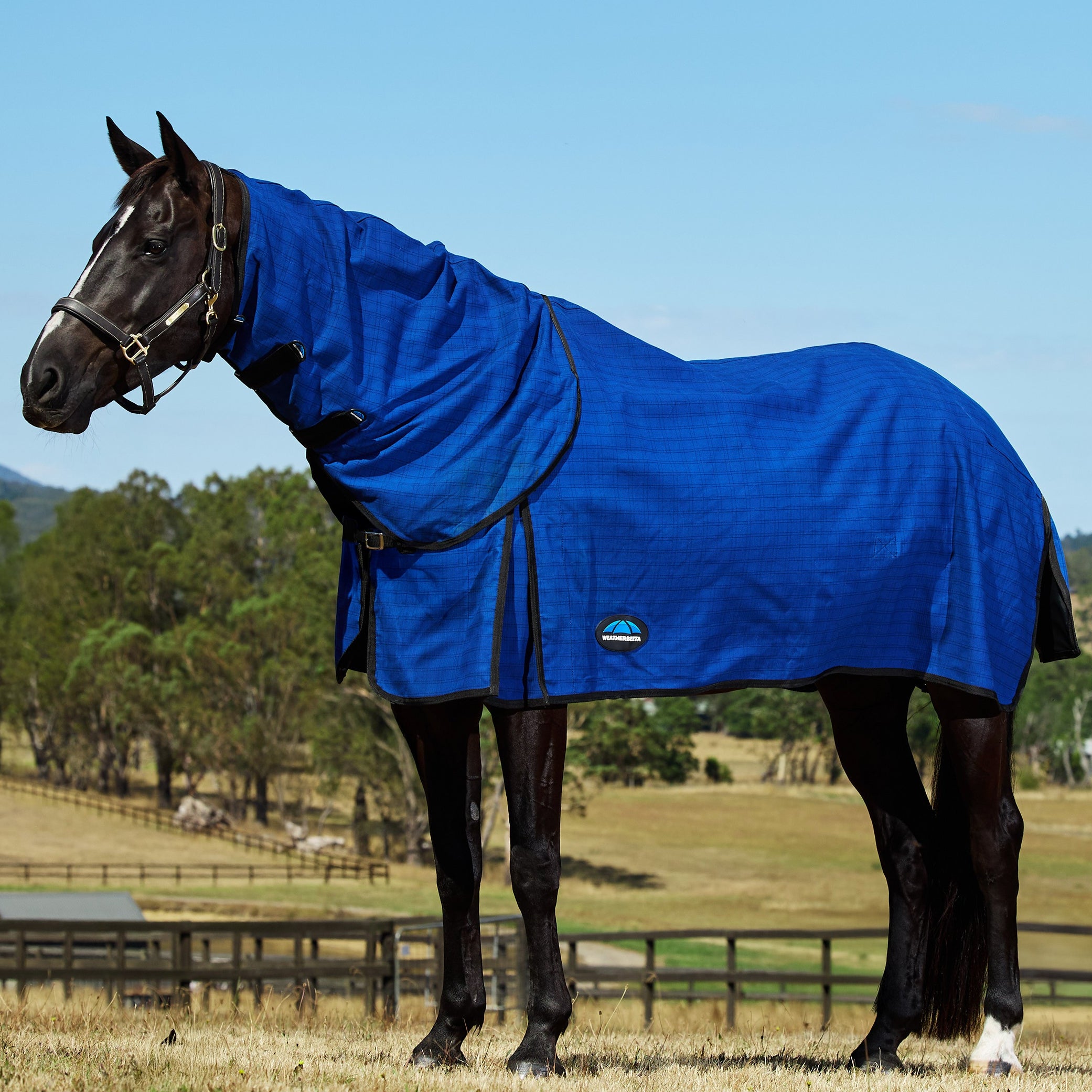 Unlined Canvas Combo - Blue/Black