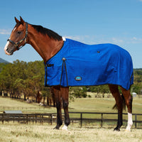Unlined Canvas Standard Neck - Blue/Black