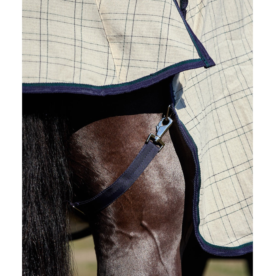 Cotton Summer Sheet Lite Combo - Beige/Navy/Forest Green