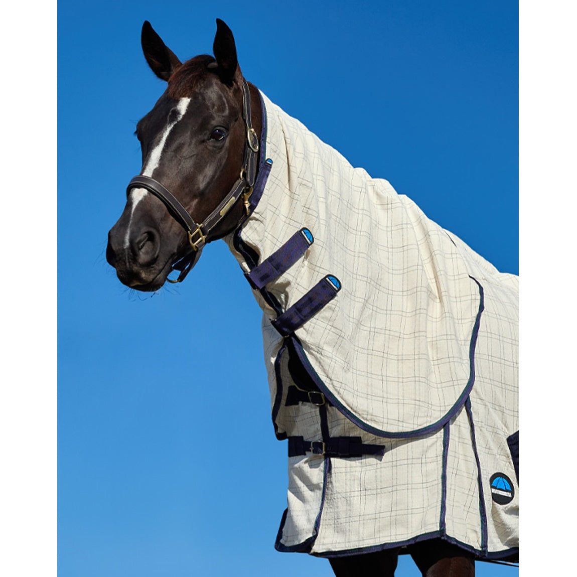 Cotton Summer Sheet Lite Combo - Beige/Navy/Forest Green