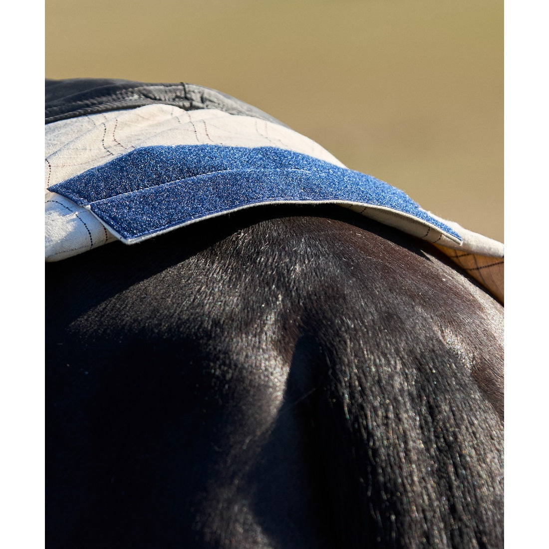 Cotton Summer Sheet Combo - Beige/Navy/Burgundy