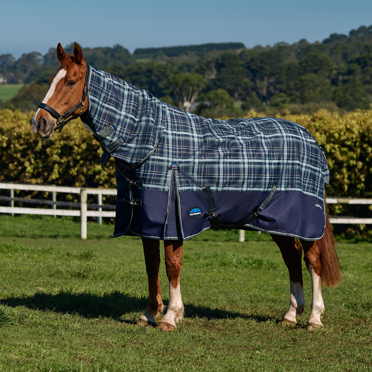 ComFiTec Essential Combo Plaid Print - 50g