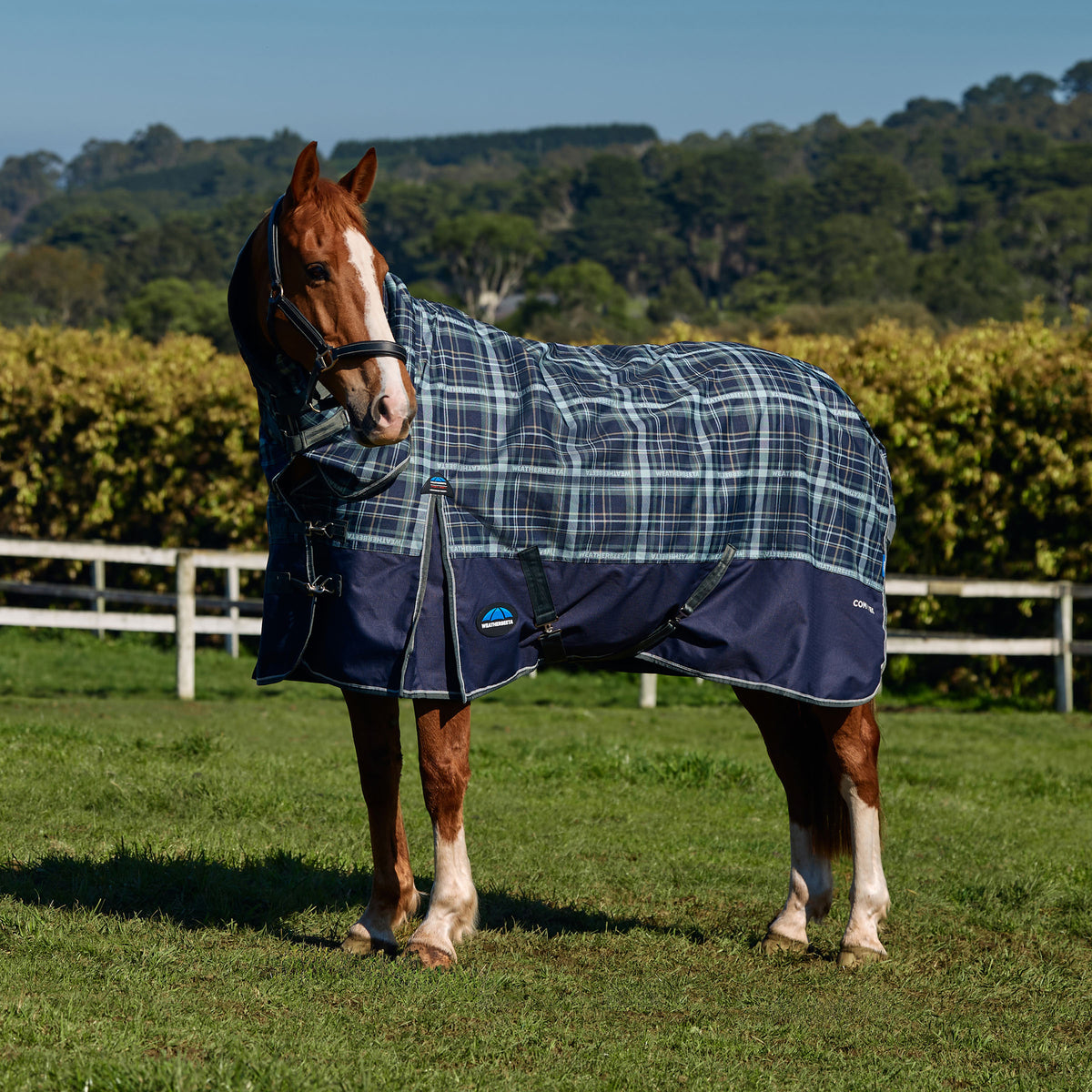ComFiTec Essential Combo Plaid Print - 50g