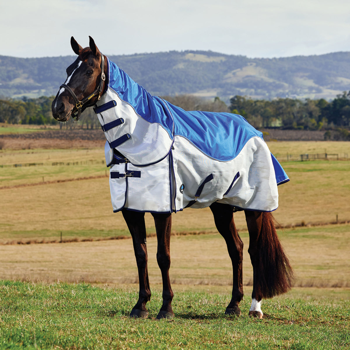 ComFiTec Duo Shield Lite Detach-A-Neck - Blue/Silver/Navy
