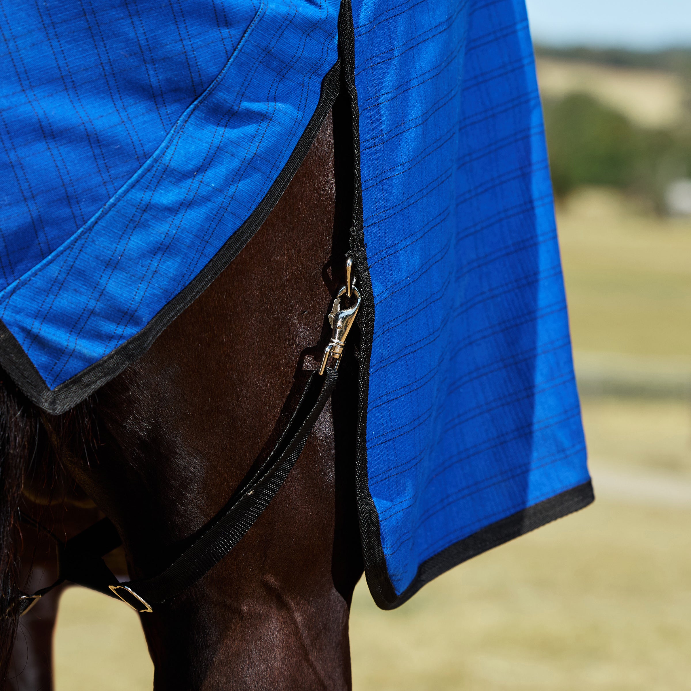 Lined Canvas Combo - Blue/Black