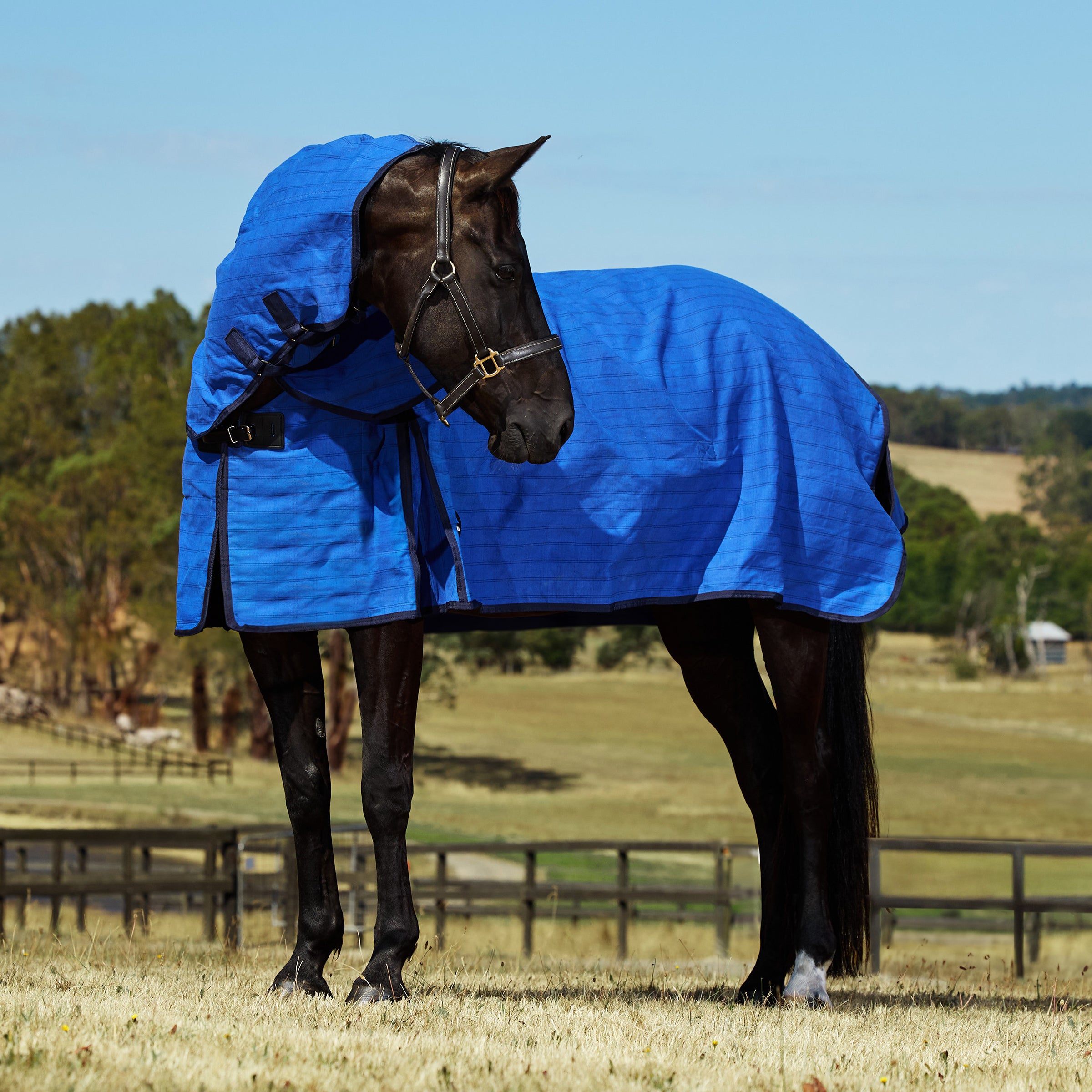 Lined Canvas Combo - Blue/Black