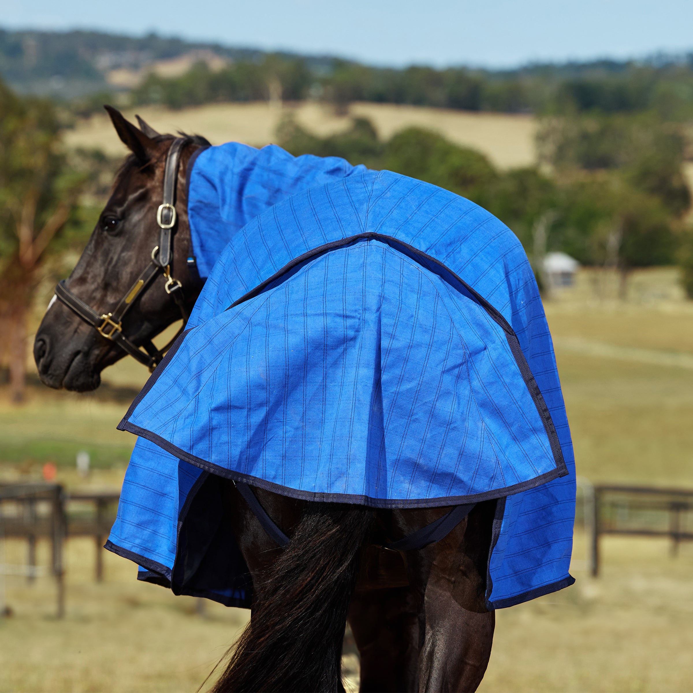 Lined Canvas Combo - Blue/Black