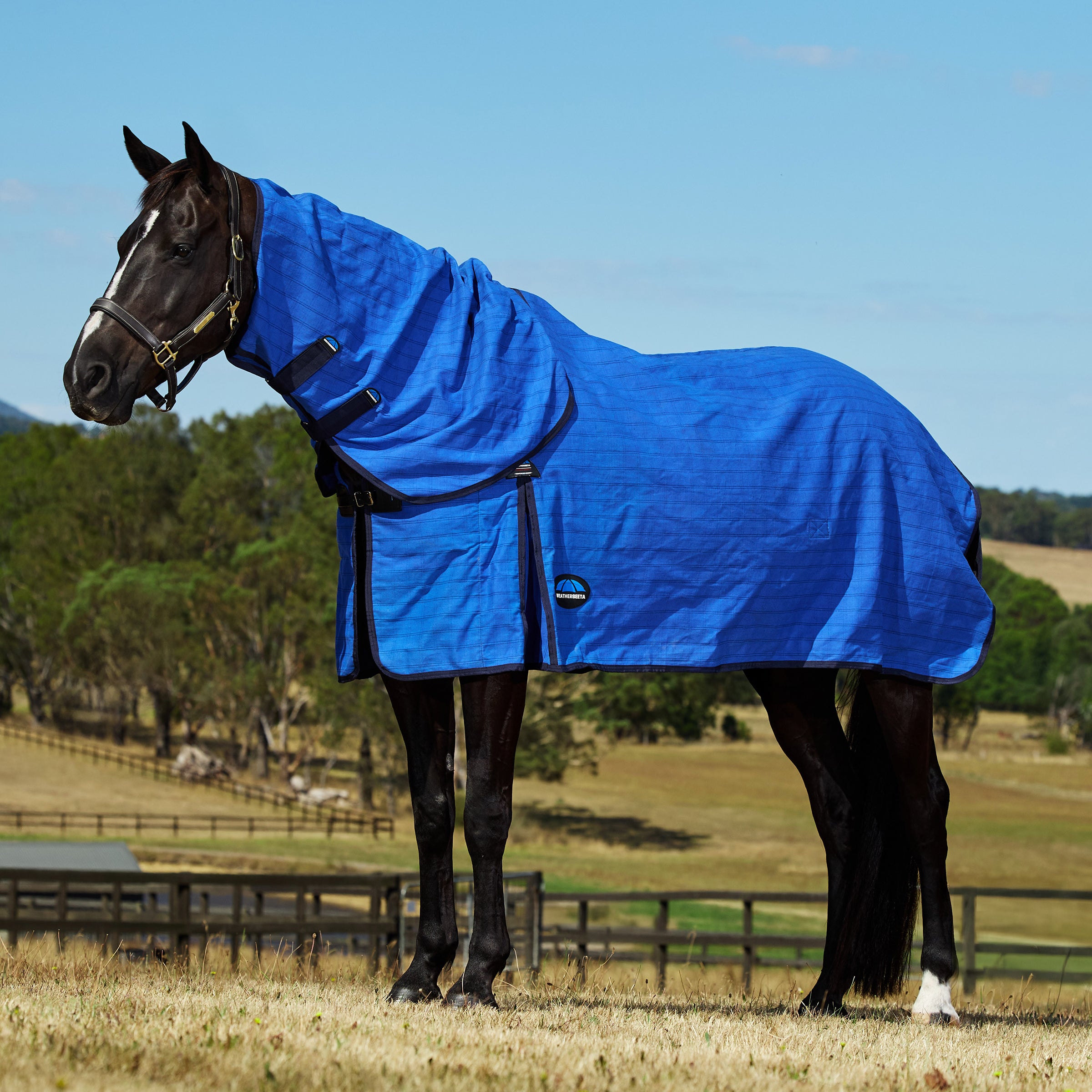 Lined Canvas Combo - Blue/Black