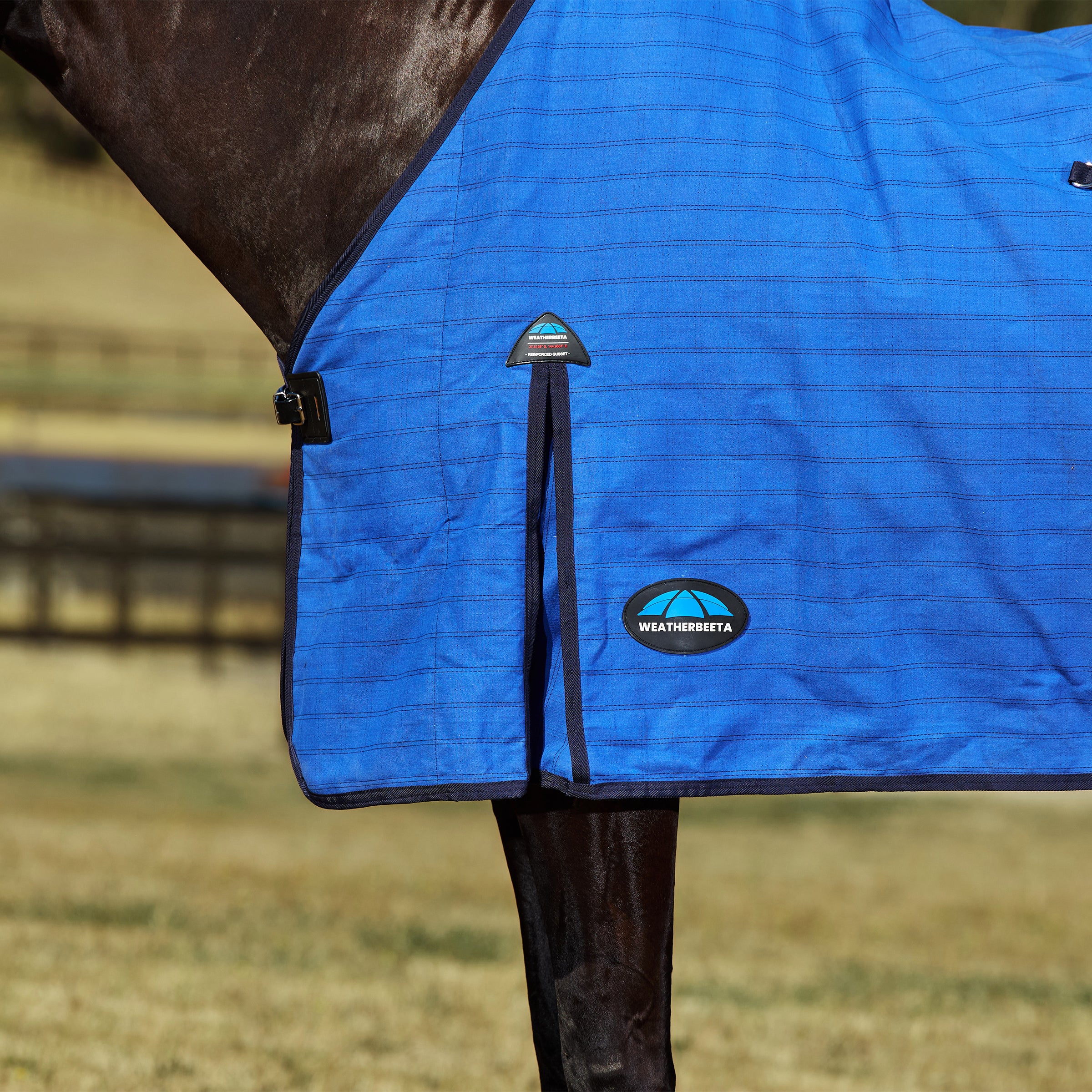 Lined Canvas Standard Neck - Blue/Black