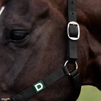 Everyday Headcollar - Black