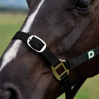 Everyday Headcollar - Black