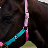 Everyday Headcollar - Blue/Pink/Purple