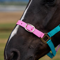 Everyday Headcollar - Blue/Pink/Purple