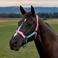 Everyday Headcollar - Blue/Pink/Purple