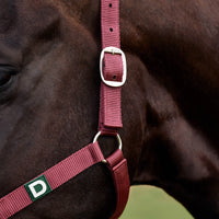 Everyday Headcollar - Burgundy