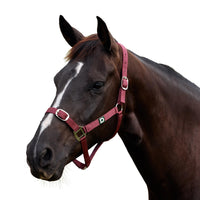 Everyday Headcollar - Burgundy