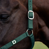 Everyday Headcollar - Green