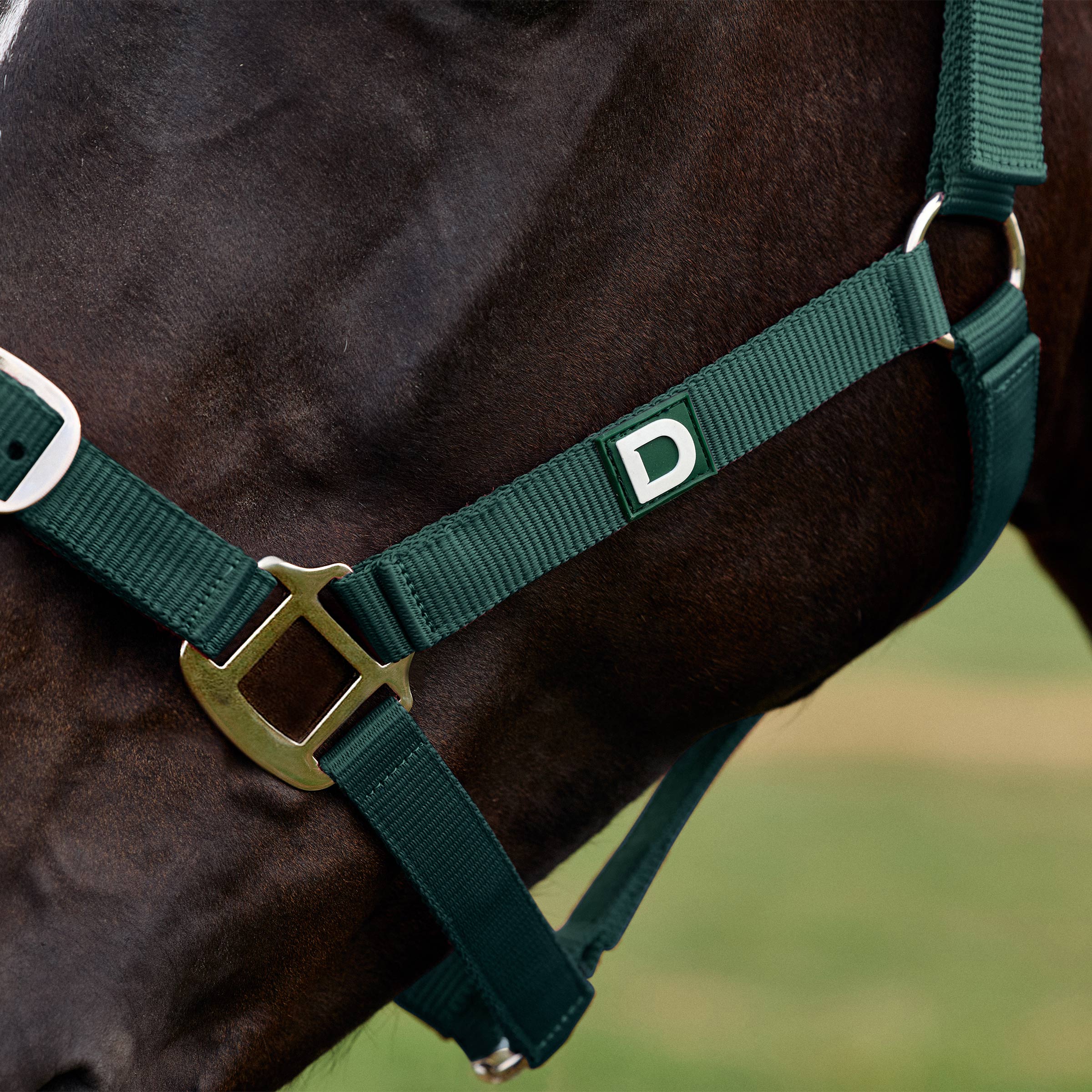 Everyday Headcollar - Green