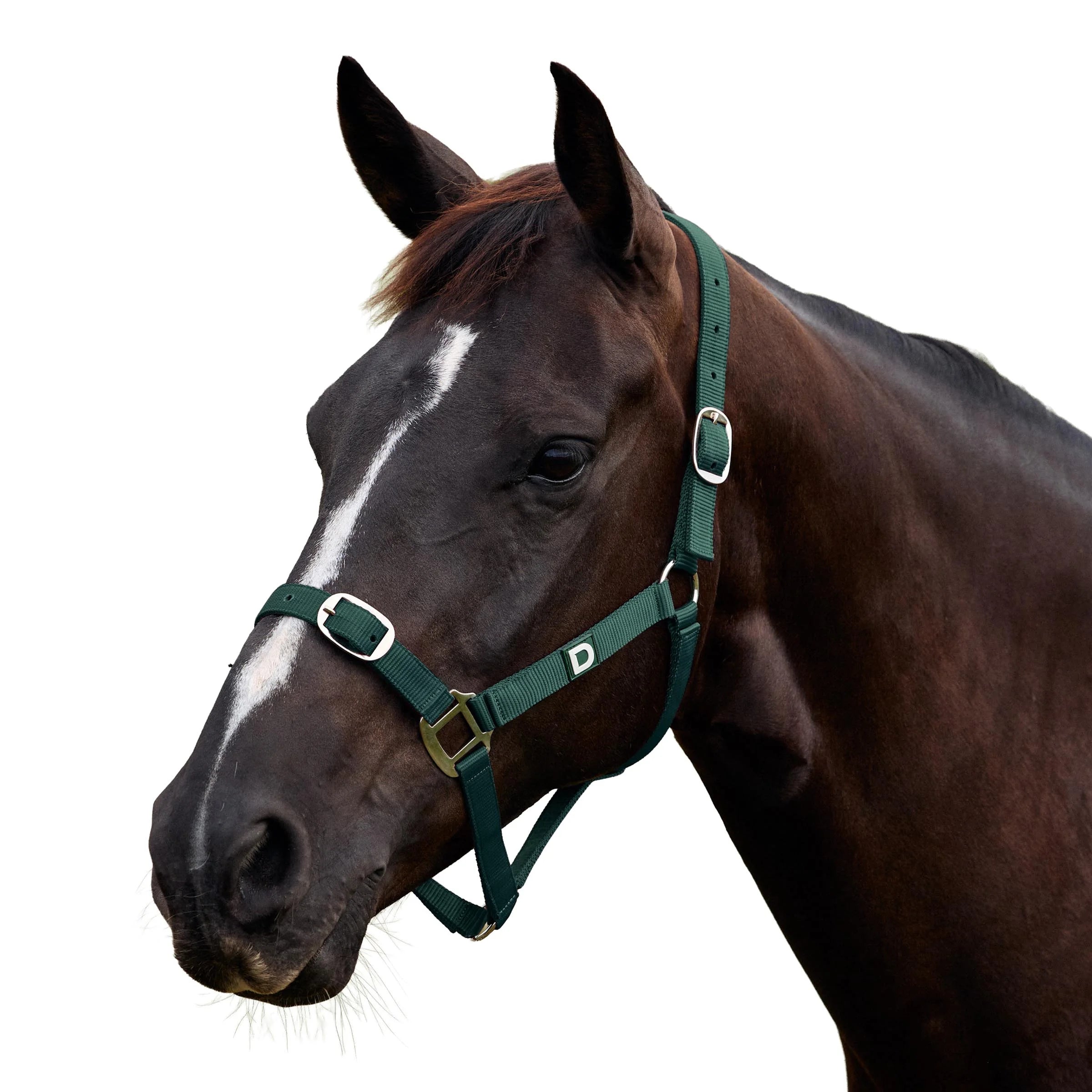 Everyday Headcollar - Green