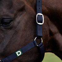 Everyday Headcollar - Navy