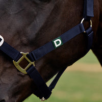 Everyday Headcollar - Navy