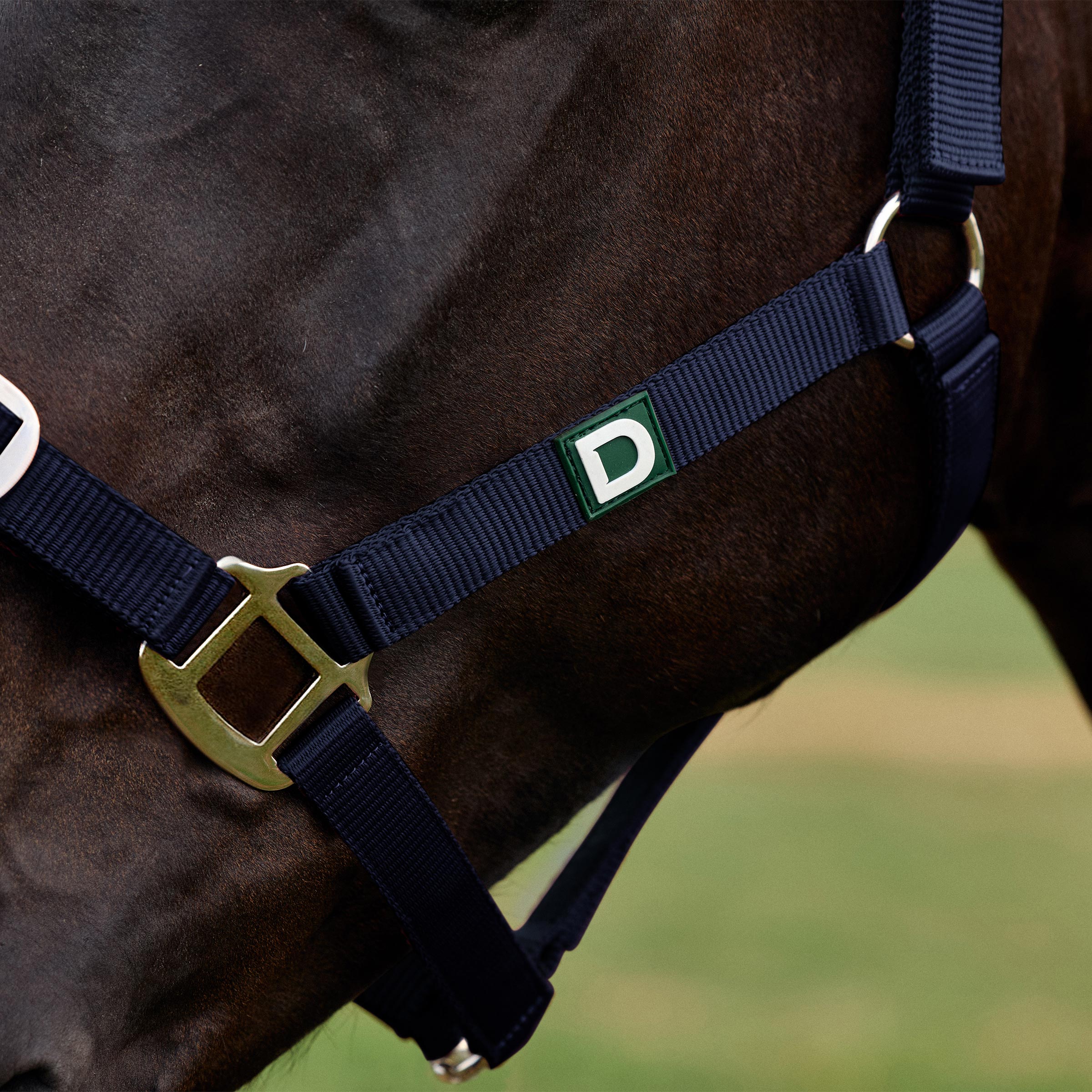 Everyday Headcollar - Navy