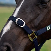 Everyday Headcollar - Navy