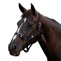 Everyday Headcollar - Navy