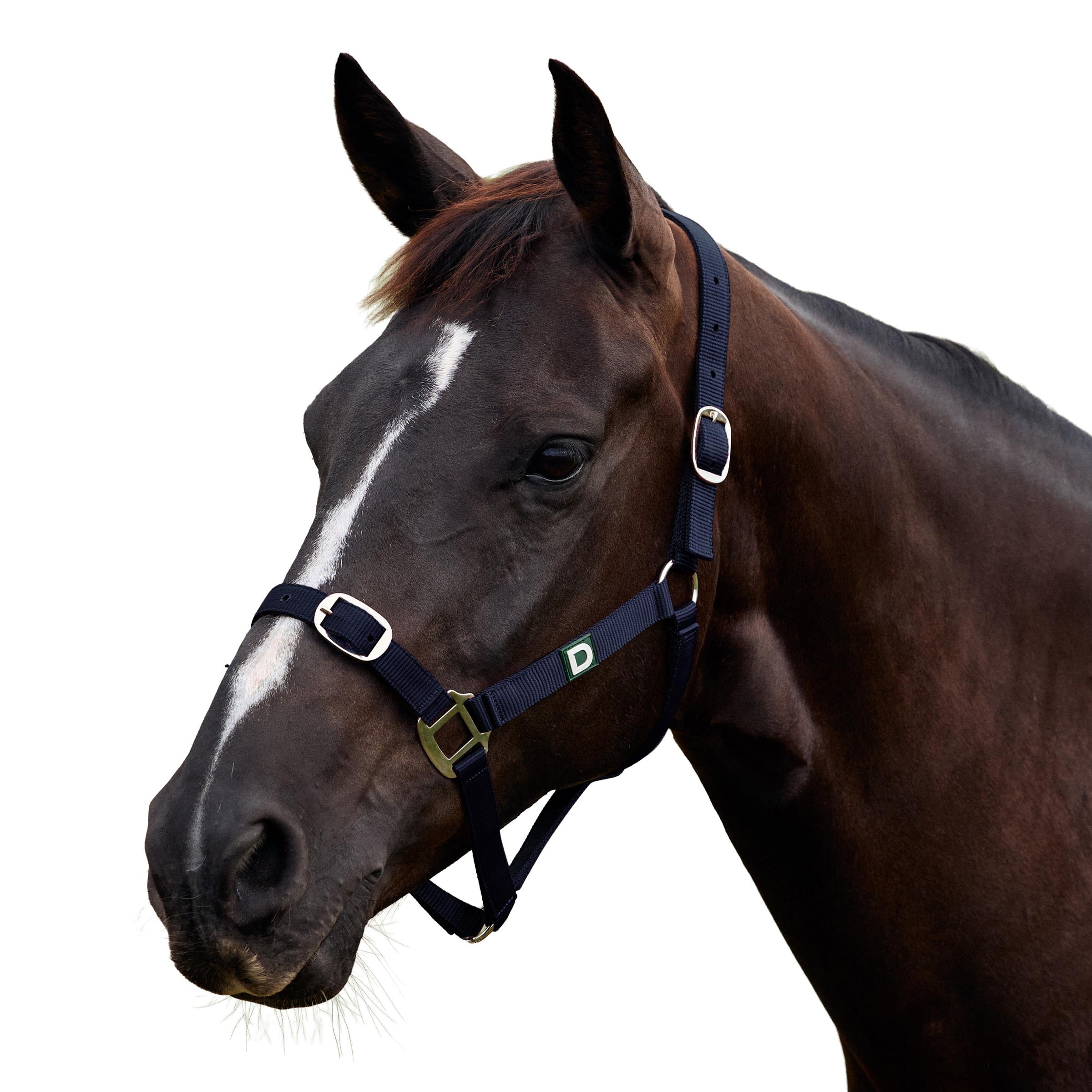 Everyday Headcollar - Navy