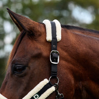Soft Fit Headcollar - Black