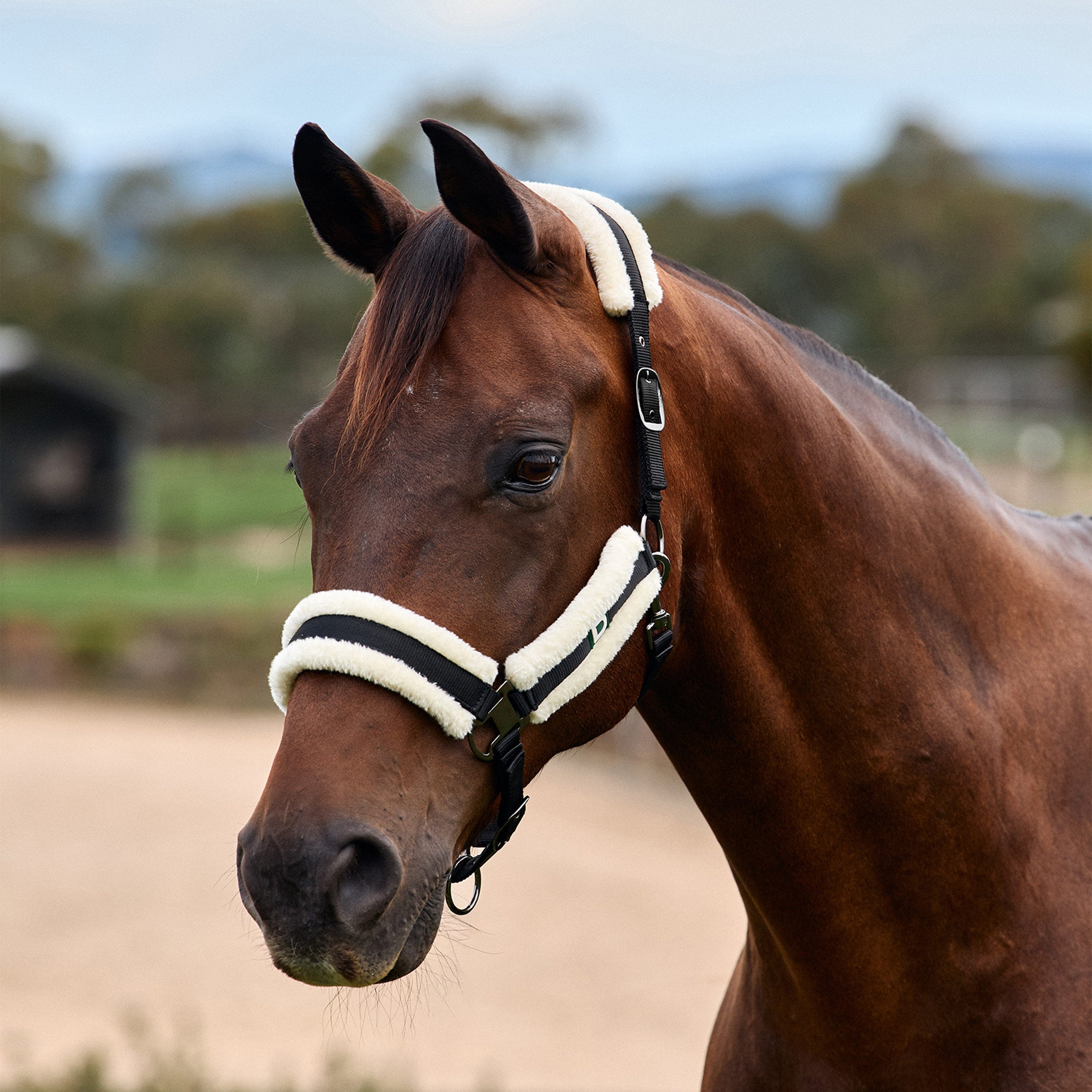 Soft Fit Headcollar - Black