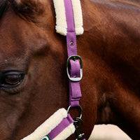 Soft Fit Headcollar - Dark Purple