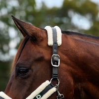 Soft Fit Headcollar - Grey