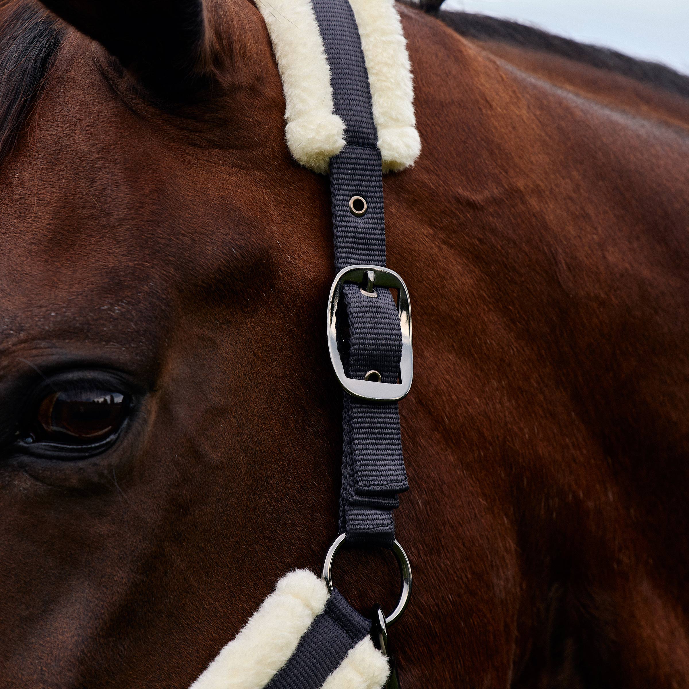 Soft Fit Headcollar - Navy