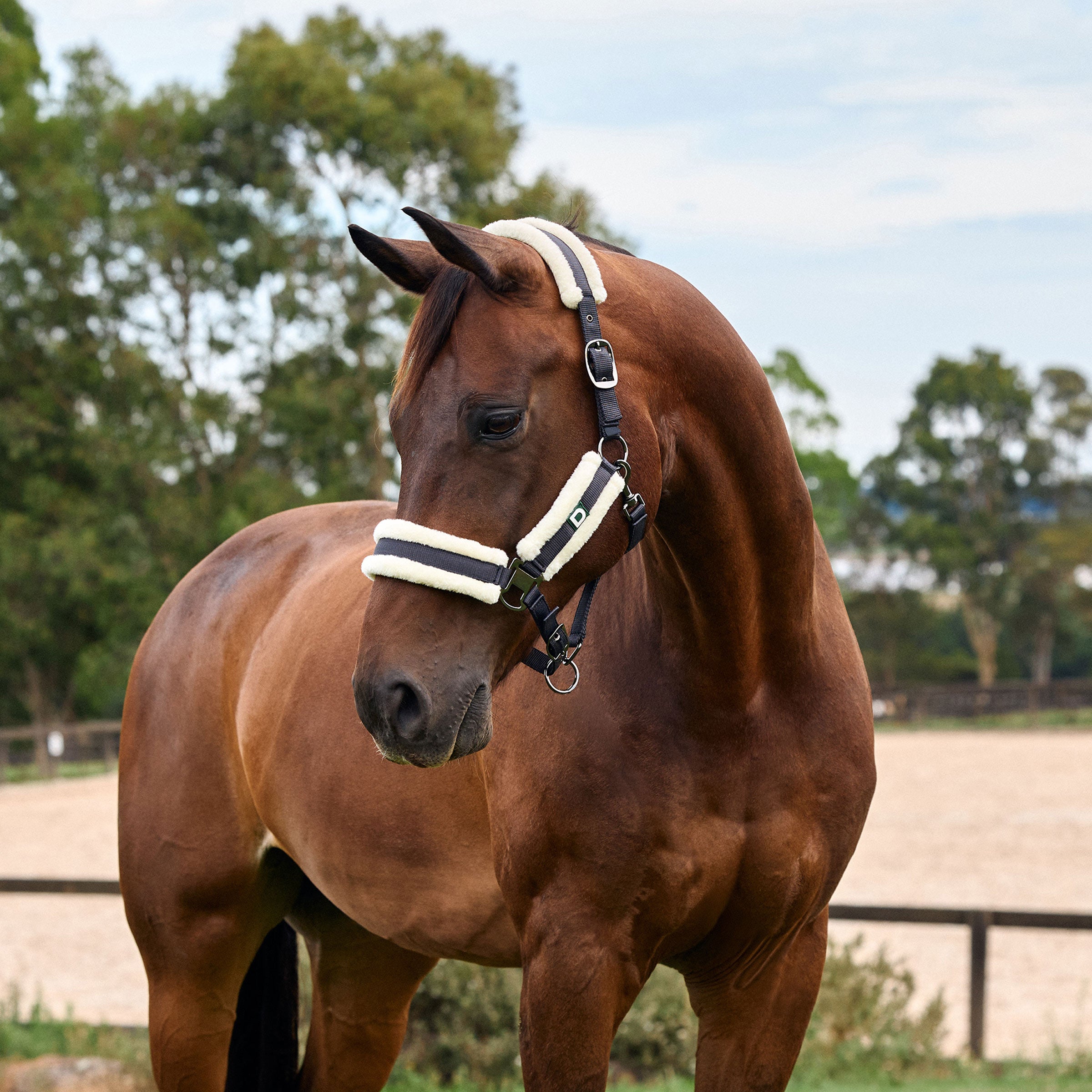 Soft Fit Headcollar - Navy