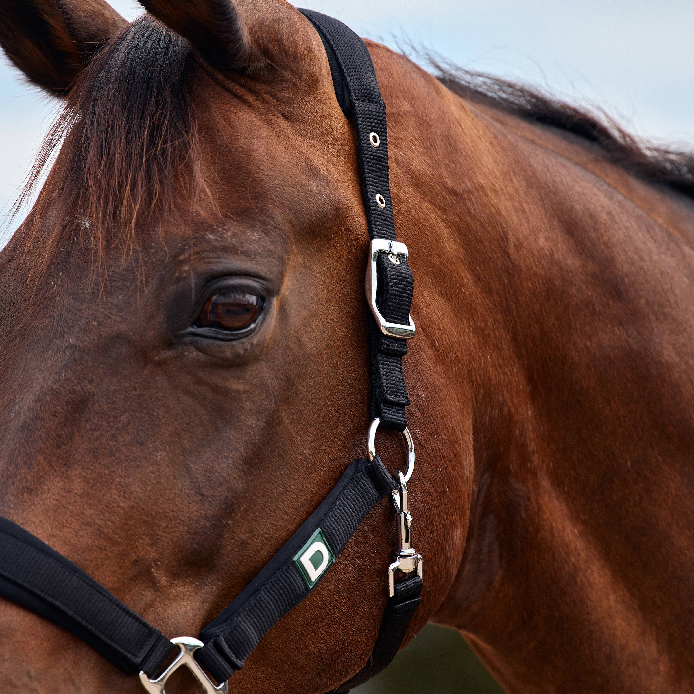 Neo Comfort Headcollar - Black
