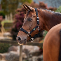 Neo Comfort Headcollar - Black